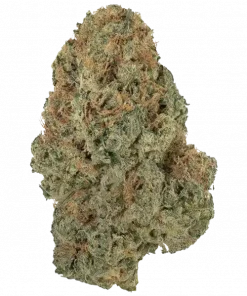 Banana Frosting, sert narenciye aroması ve yüksek verimiyle bilinen indica dominant bir türdür. Ağrı ve stresi azaltıcı etkilerini keşfedin.
