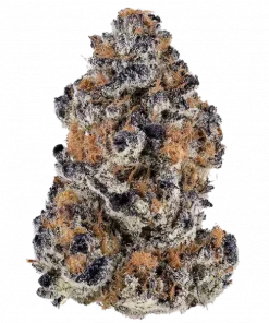 Banana Hammock RBX, bal ve üzüm aromalarıyla öne çıkan Indica dominant bir türdür. Yüksek THC içeriğiyle rahatlatıcı etkilerini keşfedin ve genetik yapısını görüntüleyin.