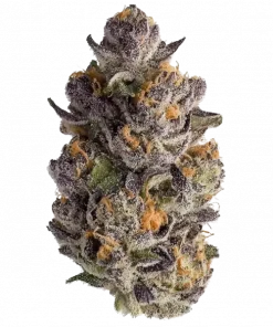 Banana Crumble, muz aromaları ve rahatlatıcı etkisiyle bilinen Indica baskın bir türdür. Uykusuzluk için ideal. Genetik yapısını keşfedin ve detayları görüntüleyin.