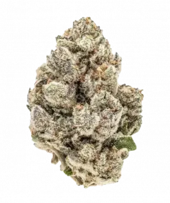 Banana OG, tatlı muz aromasıyla öne çıkan Indica baskın bir türdür. Rahatlatıcı etkileriyle bilinen bu özel türü keşfedin ve genetik yapısını görüntüleyin.