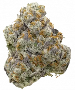 Banana OG BX1, tatlı muz aroması ve öforik etkileriyle bilinen bir türdür. 'e varan THC içeriğiyle dikkat çeken bu hibrit türü keşfedin.