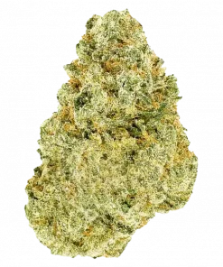 Banana Pizza, tatlı muz aroması ve dengeli etkisiyle öne çıkan bir hibrit türdür. Yüksek verimiyle bilinen bu türün genetik yapısını keşfedin.