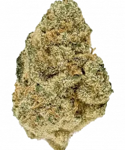 Banana Pudding, tatlı muz aroması ve yüksek THC içeriğiyle öne çıkan Indica dominant bir türdür. İştah açıcı ve rahatlatıcı etkilerini keşfedin.