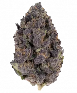 Banana Purple Punch Auto, tropikal meyve aromaları ve yüksek THC içeriğiyle bilinen Indica dominant bir türdür. Ağrı ve stres için ideal. Özelliklerini keşfedin.
