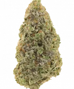 Bananium, muz aroması ve reçine yoğunluğuyla bilinen indica dominant bir türdür. Uyku sorunlarına iyi gelir. Bu eşsiz türü keşfedin.