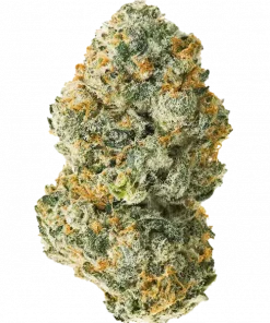 Banjerine, turunçgil aromaları ve yüksek THC içeriğiyle bilinen sativa baskın türdür. Enerjik etkilerini ve genetik yapısını keşfedin, hemen görüntüleyin.