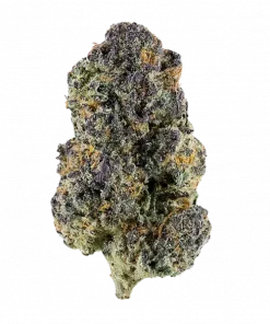 BBL, tatlı orman meyveleri aroması ve rahatlatıcı etkisiyle öne çıkan Indica baskın bir türdür. Uyku sorunlarına çözüm mü arıyorsunuz? Özelliklerini keşfedin.