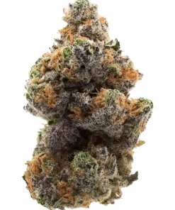 Beach Wedding, tatlı meyvemsi aroması ve dengeli genetiğiyle öne çıkan bir hibrit türdür. Öforik etkileriyle bilinen bu türü keşfedin.