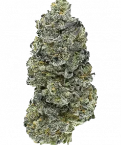 Bear Knuckles, tatlı meyve ve yakıtımsı aromalarıyla bilinen Indica dominant bir türdür. Rahatlatıcı etkilerini ve genetik yapısını keşfedin.