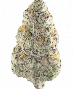 Beluga, yakıtımsı aroması ve yüksek THC içeriğiyle öne çıkan dengeli bir melezdir. Öforik etkileri ve genetik yapısını keşfedin.