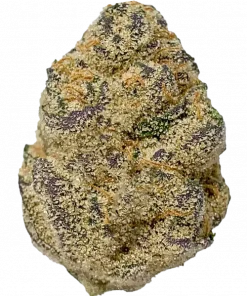 Bermuda Triangle, tatlı çam aroması ve yüksek THC içeriğiyle öne çıkan dengeli bir hibrit türdür. Anksiyete ve ağrı için ideal. Etkilerini keşfedin.