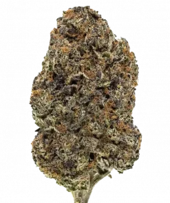 Berry Gas Mask CBD, tatlı meyve aromaları ve yüksek CBD içeriğiyle öne çıkan dengeli bir hibrit türdür. Tıbbi faydalarını ve genetik yapısını keşfedin.