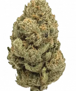 Berry Pie, tatlı böğürtlen aroması ve yüksek verimiyle öne çıkan indica baskın bir türdür. Dengeli etkilerini ve genetik yapısını keşfedin.