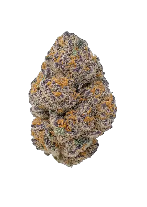 Berry Runtz, yaban mersini ve kimyasal limon aromalarıyla öne çıkan dengeli bir hibrit türdür. Enerjik etkileri ve genetik yapısını keşfedin.