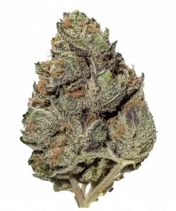 Berry White, tatlı orman meyveleri aroması ve rahatlatıcı etkileriyle bilinen indica baskın bir türdür. Dengeli yapısıyla öne çıkar. Özelliklerini keşfedin.