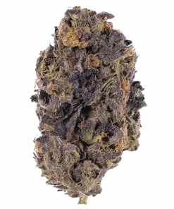 Betty Ford, vanilya ve nane aromalı, yüksek THC'li Indica dominant bir türdür. Stresi azaltan ve rahatlatan etkileri keşfedin. Hemen görüntüleyin.