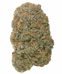 Big Bang, elma aromalı ve yüksek verimli bir Indica türüdür. Kronik ağrı ve uykusuzluğa iyi gelir. Bu eşsiz türün genetik yapısını keşfedin.