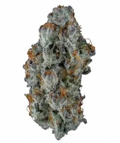 Big Ben, tatlı meyve aroması ve THC ile öne çıkan Indica dominant türdür. Uykusuzluk için ideal. Etkilerini keşfedin.