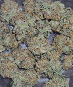 Big Bud Auto Fem Esrar Tohumu (Fast Buds)