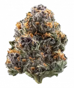 Big Buddha Gouda, sert aroması ve rahatlatıcı etkileriyle bilinen indica dominant bir türdür. UK Cheese genetiğini keşfedin ve benzersiz deneyimi görüntüleyin.