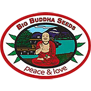 Big Buddha Seeds