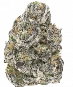 Big Detroit Energy R1, sert yakıtımsı aroması ve yüksek verimiyle öne çıkan bir türdür. Enerjik etkilerini ve genetik yapısını keşfedin.