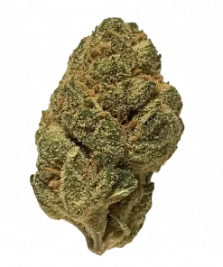 Big Dipper, orman meyveleri ve vanilya aromalarıyla öne çıkan dengeli bir hibrit türdür. Rahatlatıcı etkileriyle bilinen bu türün genetik yapısını keşfedin.