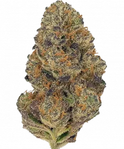 Big Nasty, sert benzin kokusu, yüksek THC ve rahatlatıcı etkileriyle bilinen Indica baskın türdür. Eşsiz aromasını ve gücünü keşfedin.