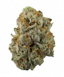 Big Z, tatlı tropikal aromaları ve THC içeriğiyle öne çıkan Indica baskın bir türdür. Dengeli etkileriyle dikkat çeken bu türü keşfedin.