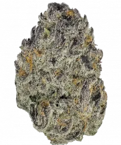 Biker 41, yakıtımsı ve baharatlı aromalarıyla öne çıkan güçlü bir hibrit türdür. Mutluluk ve rahatlama sunan bu türün genetik yapısını keşfedin.