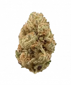 Bio-Jesus, çiçeksi aroması ve yüksek THC içeriğiyle bilinen Indica dominant bir türdür. Güçlü etkilerini ve genetik yapısını keşfetmek için hemen görüntüleyin.