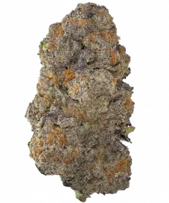 Biscotti, vanilya aromalı ve yüksek THC'li Indica dominant bir türdür. Öfori ve sakinlik hissi verir. Bu eşsiz türü keşfedin.