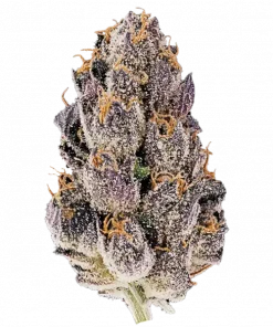 Biscotti Auto, tatlı ve fındıksı aromalarıyla öne çıkan, Indica baskın bir otomatik türdür. THC ile derin rahatlama sağlar. Özelliklerini keşfedin.