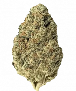 Biscotti Mintz, vanilya ve nane aromalarıyla öne çıkan Indica baskın bir türdür. Yüksek THC içeriğiyle dikkat çeker. Genetik yapısını keşfedin ve görüntüleyin.