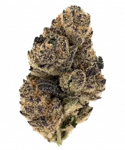 Biscotti x Zuchi, tropikal aromaları ve yüksek THC içeriğiyle bilinen Indica baskın bir türdür. Rahatlatıcı etkilerini ve genetik yapısını keşfedin.