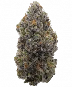 Bitties, tropikal meyve aromaları ve dengeli yapısıyla öne çıkan hibrit bir türdür. Yüksek THC içeriğiyle yaratıcılığı artırır. Özelliklerini keşfedin.