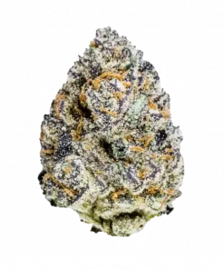 Black Amber, tatlı meyve ve yakıtımsı aromalarıyla öne çıkan Indica dominant bir türdür. Yüksek THC içeriğiyle rahatlatıcı etkilerini keşfedin ve genetik yapısını görüntüleyin.