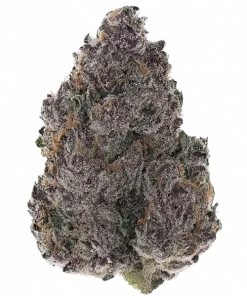 Black Cherry Bliss, tatlı kiraz aroması ve rahatlatıcı etkisiyle öne çıkan bir indica türüdür. Stres ve ağrı için ideal. Genetik yapısını keşfedin.