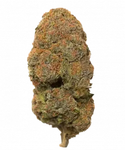 Black Cherry Pie, taze meyve aromaları ve dengeli etkisiyle öne çıkan hibrit bir türdür. Derin rahatlama ve odaklanma sağlar. Genetik yapısını keşfedin.