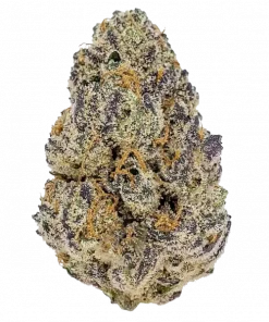 Black Cherry Punch, tatlı böğürtlen aroması ve dengeli etkileriyle bilinen Indica dominant bir türdür. Yüksek THC içeriğiyle öne çıkar. Özelliklerini keşfedin.
