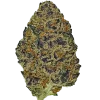 Black Cherry Soda, yakıtımsı ve böğürtlen aromalarıyla öne çıkan sativa baskın bir türdür. Yüksek THC içeriğiyle dikkat çeker. Genetik yapısını keşfedin.