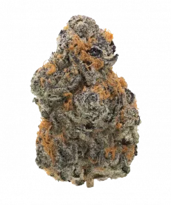 Black Cherry Zkittlez, sert kiraz aroması ve yüksek THC içeriğiyle öne çıkan bir hibrit türdür. Eşsiz genetik yapısını ve tatlı etkilerini keşfedin.