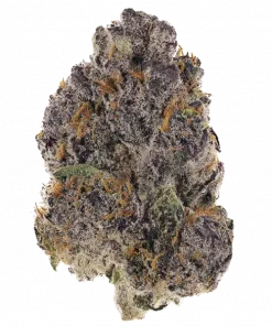 Black Diamond, üzüm aromaları ve rahatlatıcı etkisiyle bilinen güçlü bir hibrit türüdür. THC içeriğiyle öne çıkar. Bu eşsiz türü keşfedin.