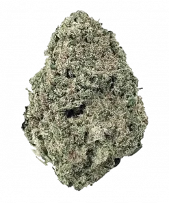 Black Diesel, yakıtımsı ve biberli aromasıyla öne çıkan dengeli bir hibrit türdür. Mutluluk ve rahatlama sunan bu türün genetik yapısını keşfedin.