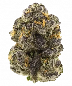 Black Garlic, sert yakıtımsı aroması ve rahatlatıcı etkileriyle bilinen Indica dominant bir türdür. TSSB ve uykusuzluğa iyi gelir. Özelliklerini keşfedin.