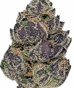 Black Haze, tatlı meyve aromaları ve yüksek THC içeriğiyle bilinen Sativa baskın bir türdür. Canlandırıcı etkilerini ve genetik yapısını keşfedin.