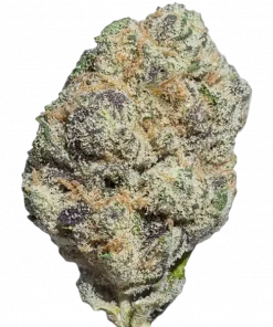 Black Ice, çamsı aroması ve yüksek THC içeriğiyle bilinen Indica dominant bir türdür. Derin rahatlama ve uyku getirici etkileri keşfedin.