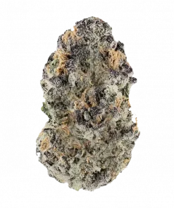 Black Oishii, yakıtımsı ve turunçgil aromalarıyla öne çıkan Indica baskın bir türdür. Yüksek THC içeriğiyle dikkat çeker. Genetik yapısını keşfedin ve etkilerini görüntüleyin.