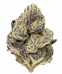 Black Rainbow, tatlı limon ve meyve aromalarıyla öne çıkan dengeli bir hibrit türdür. Yüksek THC içeriğiyle enerji ve rahatlama sunar. Özelliklerini keşfedin.