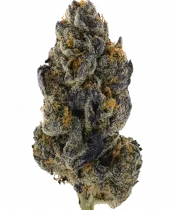 Black Runtz, sert narenciye aroması ve yüksek THC içeriğiyle bilinen Indica dominant bir türdür. Zihinsel ve fiziksel etkilerini keşfedin ve hemen görüntüleyin.